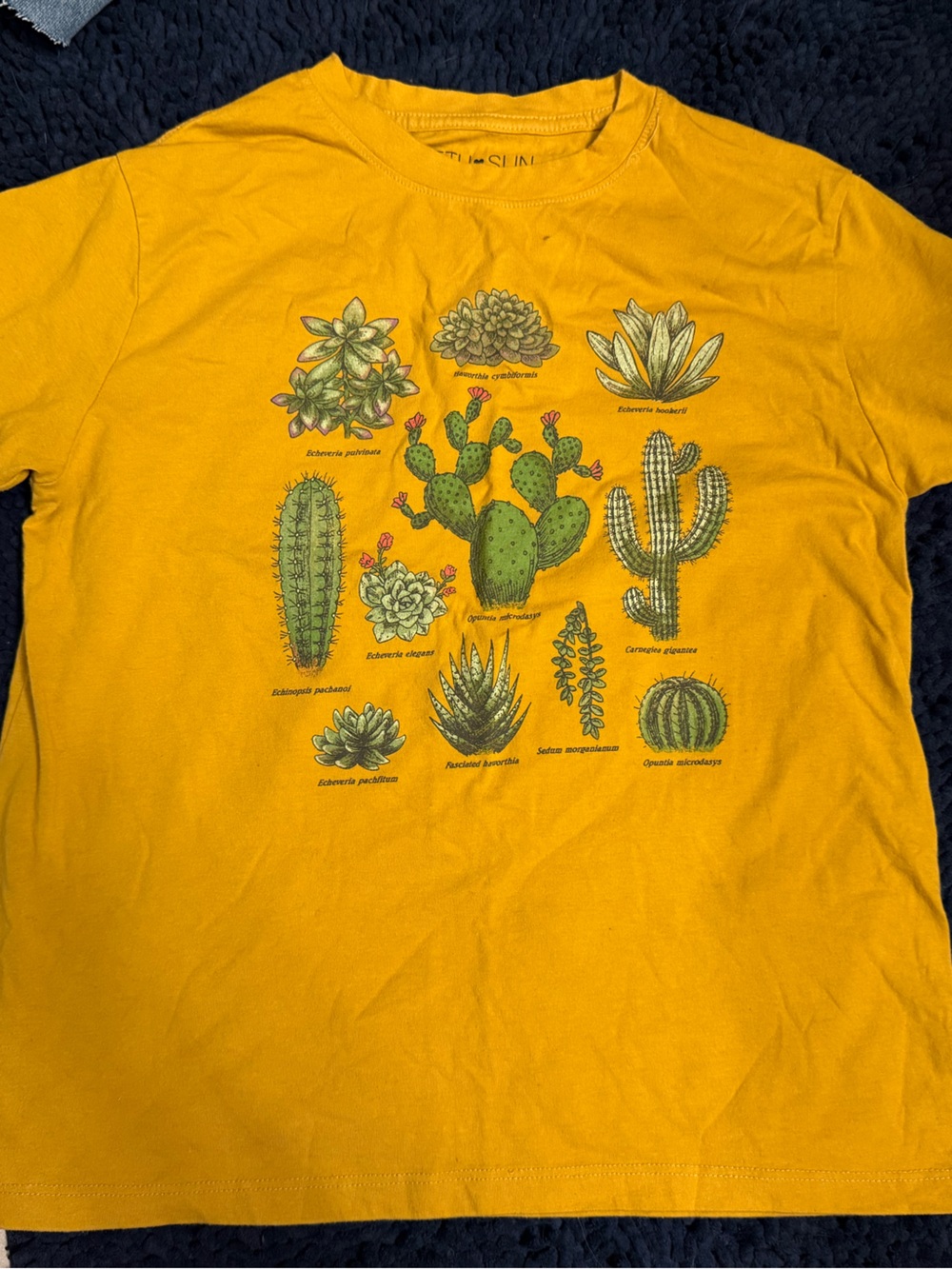 Fifth Sun Yellow Kids Cactus & Succulent Graphic Tee